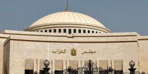النائبة مريم العزب: التعديلات على قانون جهاز مستقبل مصر تعزز مبادئ الشفافية والرقابة - وكالة البوصلة الإخبارية