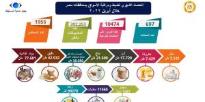 اعرف حقك.. القانون يتيح للمستهلك الحق فى استبدال السلعة أو إعادتها مع استرداد القيمة - وكالة البوصلة الإخبارية