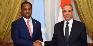 وزير الخارجية ونظيره الصومالي يبحثان سبل تعزيز العلاقات الثنائية وتطورات الأوضاع في منطقة القرن الأفريقي - وكالة البوصلة الإخبارية