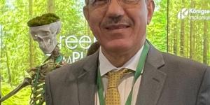 استشاري لـ «اليوم»: الكبد الدهني قد يخفض مستويات فيتامين «د» - وكالة البوصلة الإخبارية