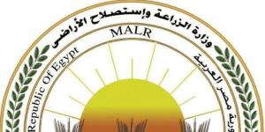 وزارة الزراعة" تضبط 226 طنًا و421 كجم من اللحوم ومنتجاتها المخالفة خلال يوليو.. وتحرر 761 محضرًا بالمحافظات - وكالة البوصلة الإخبارية