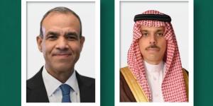 وزير الخارجية يبحث المستجدات في المنطقة مع نظيره المصري - وكالة البوصلة الإخبارية