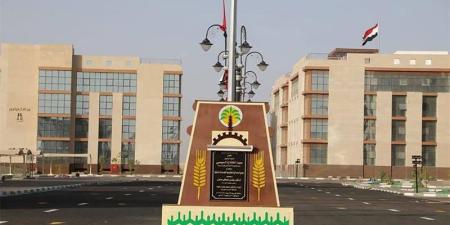 فرص عمل بالداخلة استعدادا لافتتاح مركز لذوي الاحتياجات الخاصة بالوادي الجديد - وكالة البوصلة الإخبارية