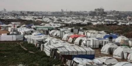 خبير شئون اسرائيلية: مخططات التهجير الإسرائيلية فشلت - وكالة البوصلة الإخبارية