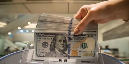 سعر الدولار مقابل الجنيه اليوم الأحد.. انخفاض في البنوك المصرية - وكالة البوصلة الإخبارية