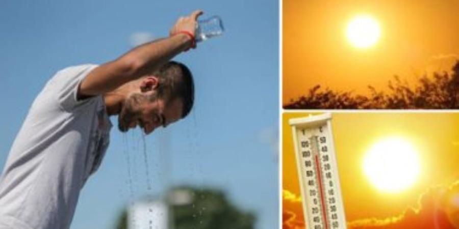 طقس اليوم.. حار رطب نهارا بأغلب الأنحاء ودرجة الحرارة المحسوسة بالقاهرة 37 - وكالة البوصلة الإخبارية