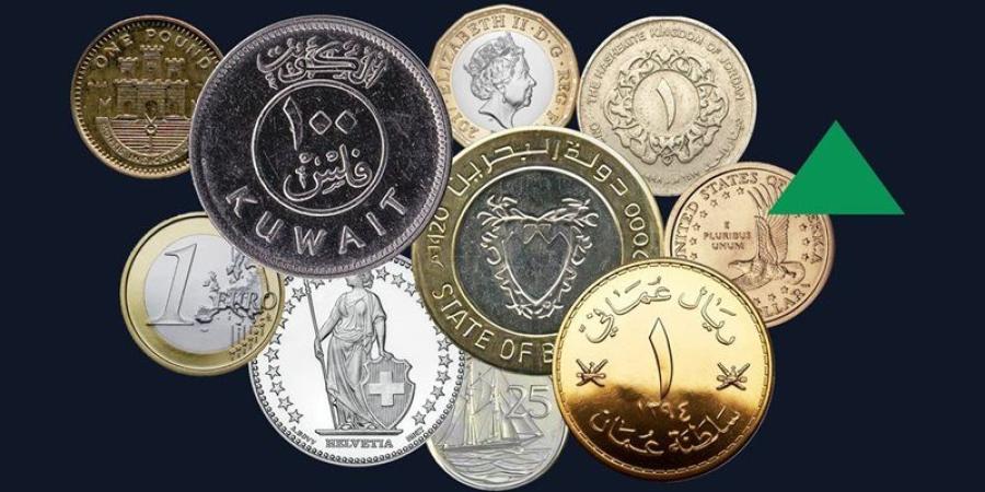 أسعار العملات العربية والأجنبية في البنك المركزي - وكالة البوصلة الإخبارية