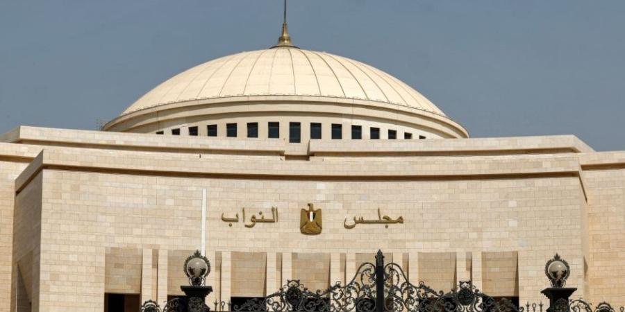 النائبة مريم العزب: التعديلات على قانون جهاز مستقبل مصر تعزز مبادئ الشفافية والرقابة - وكالة البوصلة الإخبارية