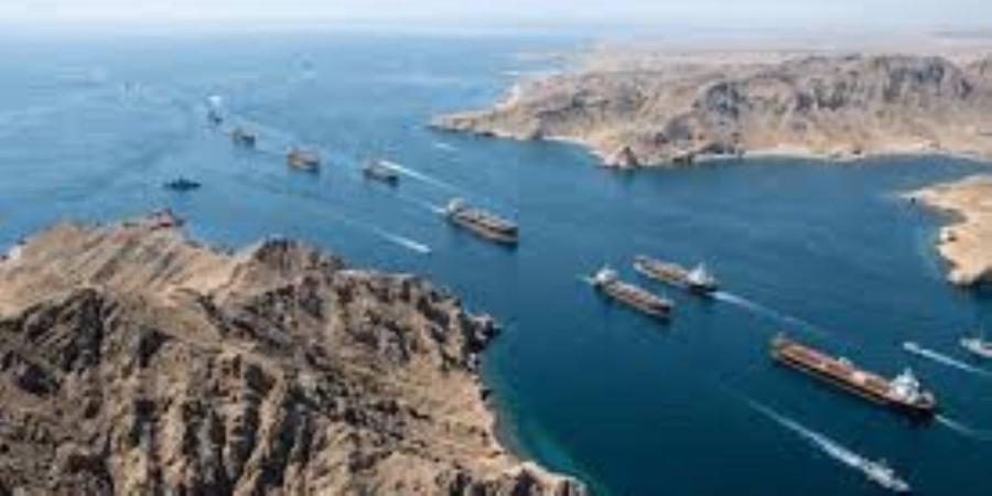مصر تدين استهداف ناقلتى نفط إماراتيتين فى مضيق هرمز - وكالة البوصلة الإخبارية