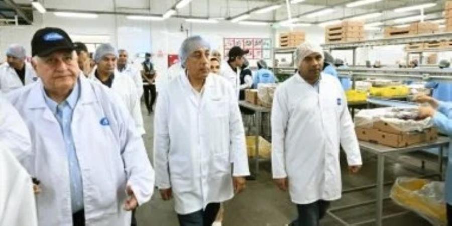 وزير الزراعة: إنتاج مصر من اللحوم الحمراء يصل إلى 600 ألف طن - وكالة البوصلة الإخبارية