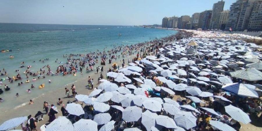 محافظ الإسكندرية: متابعة لحظية لنسب إشغال الشواطئ.. واكتمال الإشغال بالقطاع الشرقي - وكالة البوصلة الإخبارية