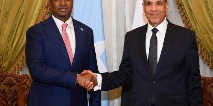 مصر والصومال تبحثان تعزيز الشراكة الاستراتيجية وتنسيق المواقف بشأن القضايا الأفريقية - وكالة البوصلة الإخبارية