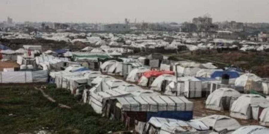 خبير شئون اسرائيلية: مخططات التهجير الإسرائيلية فشلت - وكالة البوصلة الإخبارية