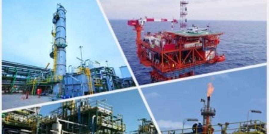 نائبة التنسيقية: تشغيل المصريين في مشروعات البترول التزام وطني وعلى الشريك الأجنبي نقل الخبرات والتكنولوجيا - وكالة البوصلة الإخبارية
