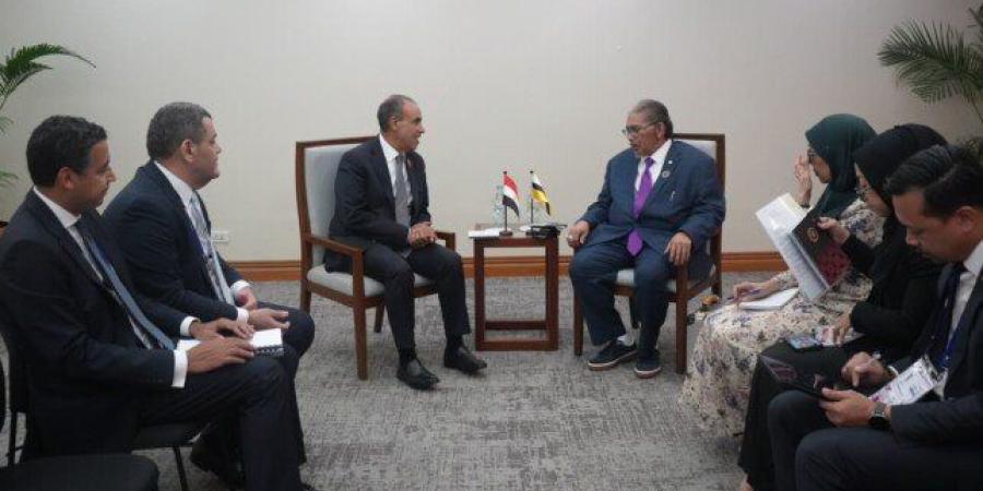 مصر.. عبد العاطي يبحث مع وزير الخارجية الثاني بسلطنة بروناي دار السلام سبل الارتقاء بالعلاقات الثنائية - وكالة البوصلة الإخبارية