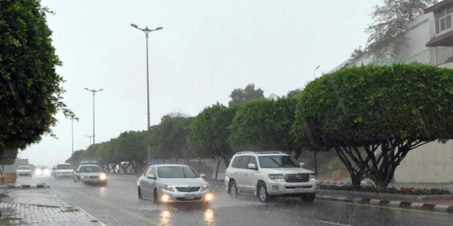 بالموعد والأماكن.. أمطار غزيرة وبرد ورياح قوية تضرب محافظات في عسير - وكالة البوصلة الإخبارية