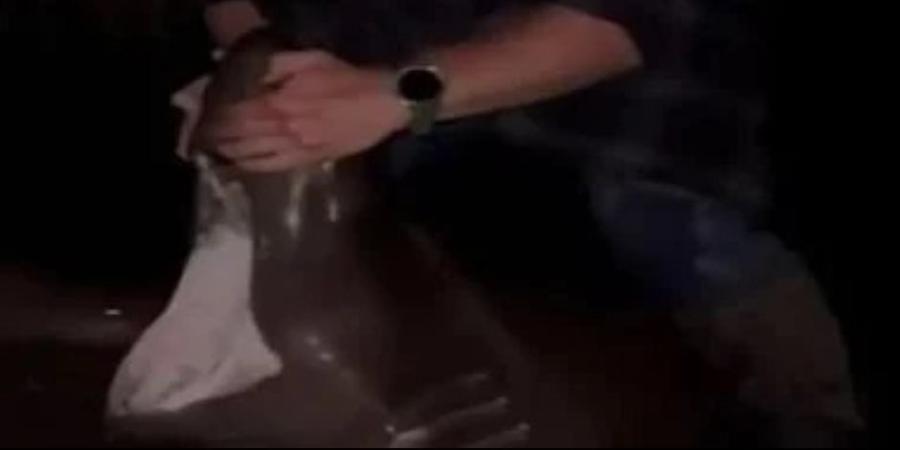 ضبط أمريكى استعرض صيد أنواع قروش ممنوع الاقتراب منها لحصد اللايكات.. فيديو - وكالة البوصلة الإخبارية