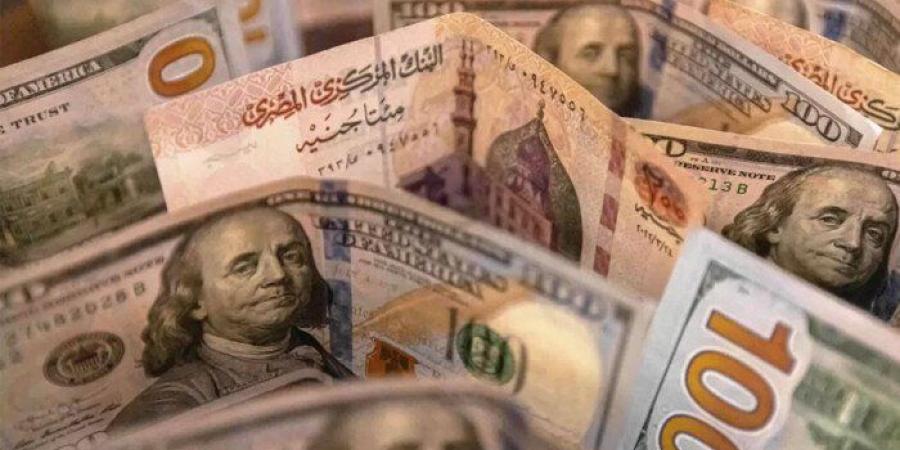 عاجل.. سعر الدولار يتراجع 90 قرشًا في البنوك المصرية - وكالة البوصلة الإخبارية