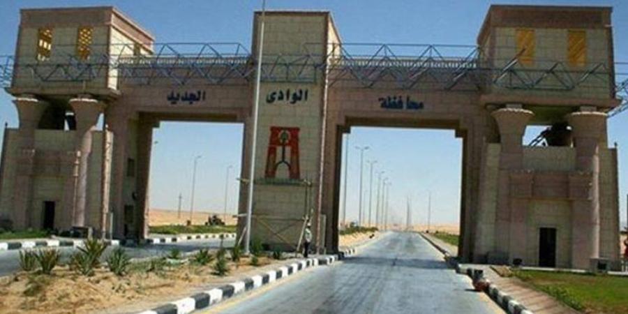 25 فرصة عمل جديدة لشباب الوادي الجديد بالتنسيق مع القطاع الخاص - وكالة البوصلة الإخبارية