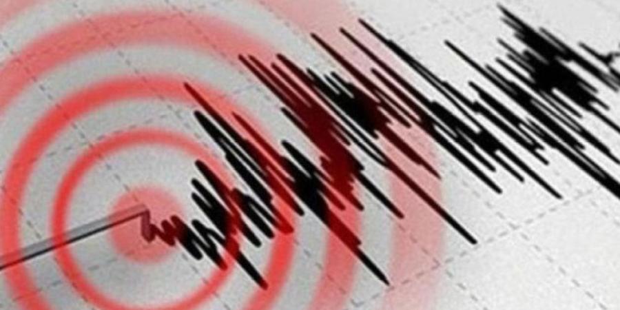 زلزال بقوة 7,1 درجات يضرب جنوب اليابان وإنذار من خطر تسونامي - وكالة البوصلة الإخبارية