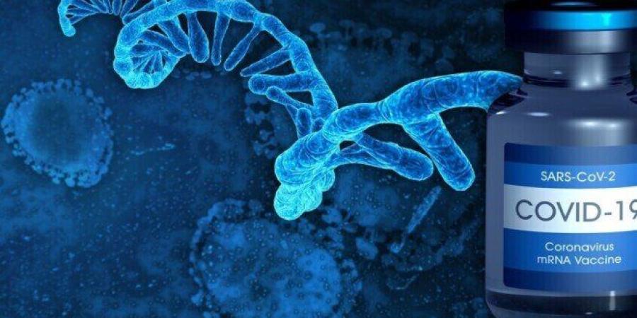 روسيا تطور لقاحات mRNA تجريبية لمواجهة الإنفلونزا وكوفيد-19 - وكالة البوصلة الإخبارية