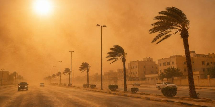 48 مئوية.. موجة حارة وأتربة مثارة على الشرقية اليوم الثلاثاء - وكالة البوصلة الإخبارية