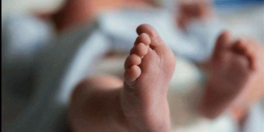 ملفوف بجوال ومرمي في الشارع، تفاصيل العثور على جثة طفل حديثي الولادة في الأقصر - وكالة البوصلة الإخبارية