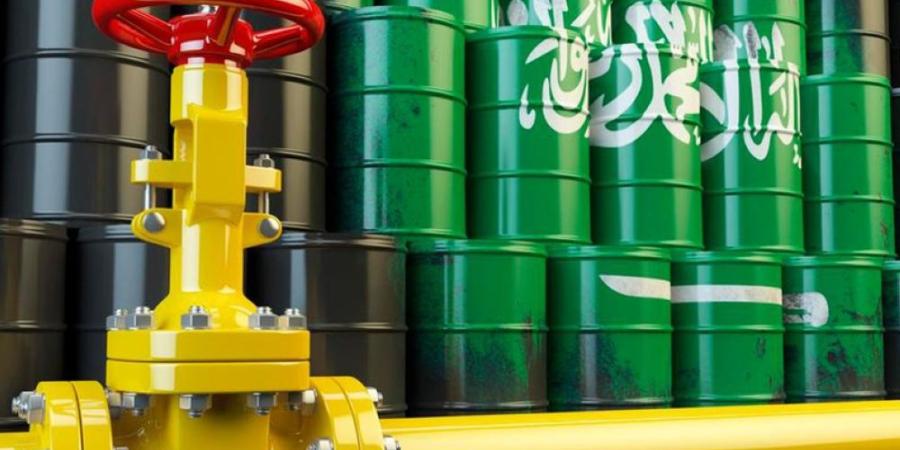 193.5 مليون برميل كمية استهلاك البنزين في السعودية خلال 2025 - وكالة البوصلة الإخبارية