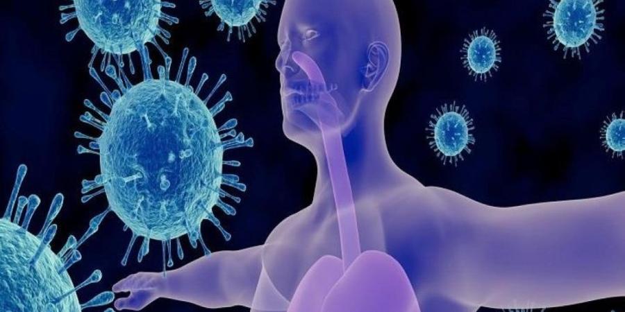 أخطرها الأعشاب.. 3 معلومات مغلوطة عن جهاز المناعة لدى الإنسان - وكالة البوصلة الإخبارية