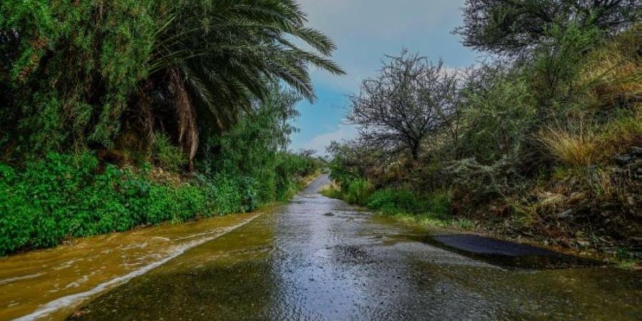 شملت أجزاء من عدة محافظات.. هطول أمطار على الباحة - وكالة البوصلة الإخبارية