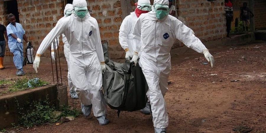 الكوليرا تضرب عدة دول إفريقية.. وفاة 13 وإصابة 240 شخصا في تشاد - وكالة البوصلة الإخبارية
