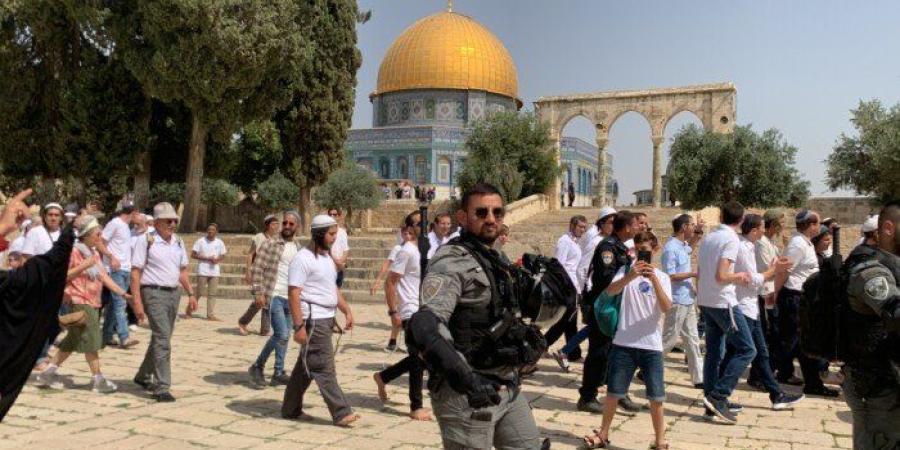 عشرات المستعمرين يقتحمون المسجد الأقصى المبارك بحماية قوات الاحتلال الإسرائيلي - وكالة البوصلة الإخبارية