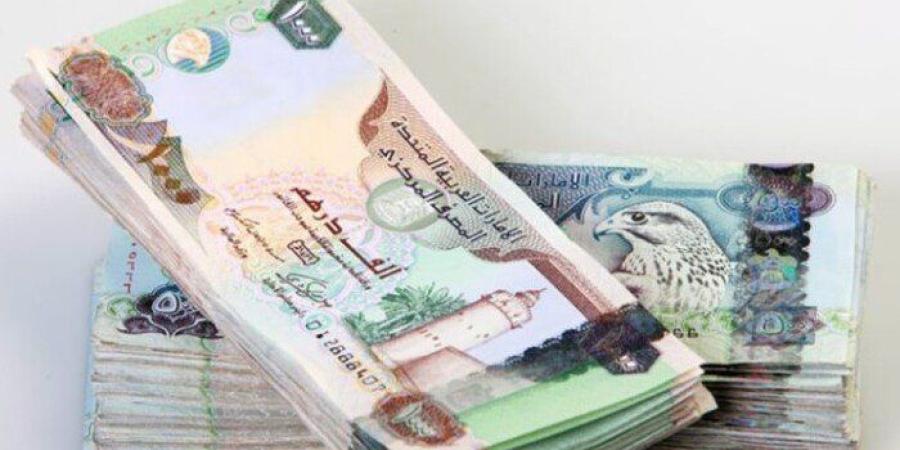 سعر الدرهم الإماراتي مقابل الجنيه المصري اليوم الخميس 13 أغسطس 2026 - وكالة البوصلة الإخبارية