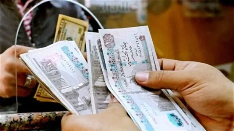 كم باقي على صرف الرواتب بعد تداول تبكير الإيداع ؟.. المالية المصرية تٌجيب
