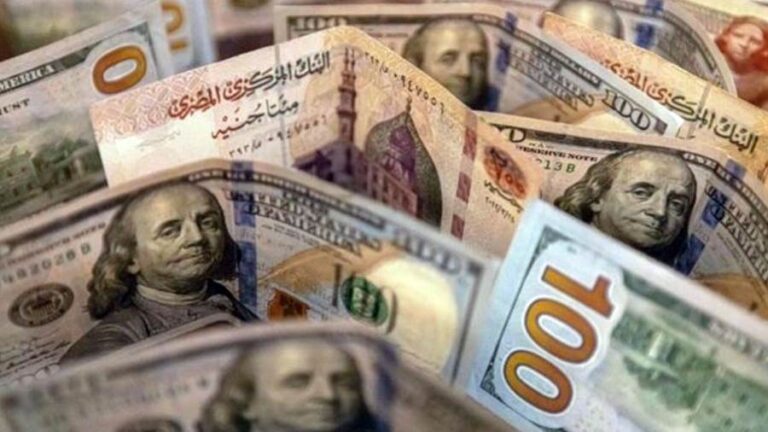 أعرف بسرعة الأخضر وصل كام انهاردة .. سعر الدولار اليوم مقابل الجنية المصري في البنوك والسوق السوداء بتاريخ 24نوفمبر 2025
