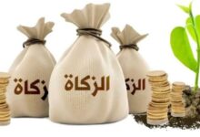"اخرج زكاتك بشكل صحيح" دار الافتاء تعلن مقدار زكاة الفطر رمضان 2026 وأفضل موعد لاخراجها