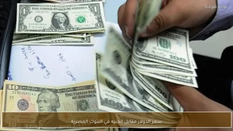 ثمن الدولار مقابل الجنيه في البنوك المصرية