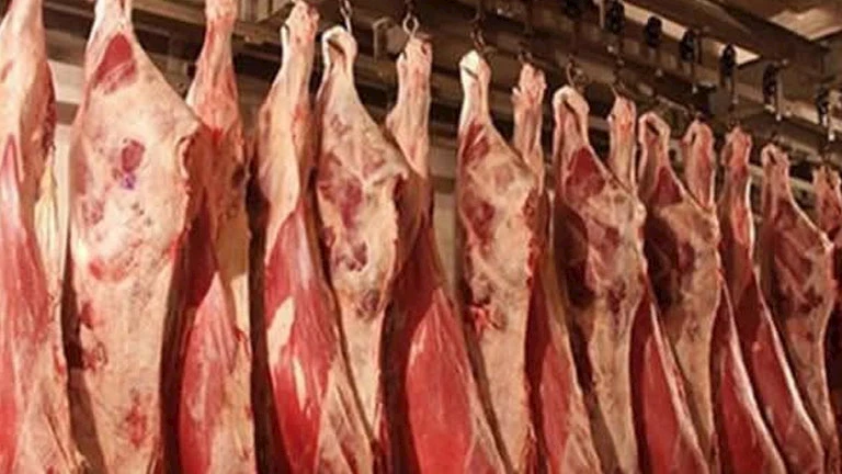 استقرار أسعار اللحوم يعتمد على أسعار الدولار والأعلاف وفق تصريحات شعبة القصابين