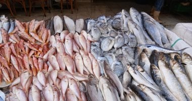 أسعار الأسماك في مطروح اليوم الأحد 22 مارس 2026 التونة بسعر 200 جنيه