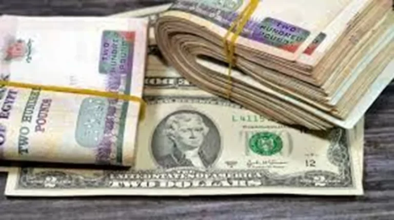استقرار ملحوظ لسعر الدولار مقابل الجنيه اليوم
