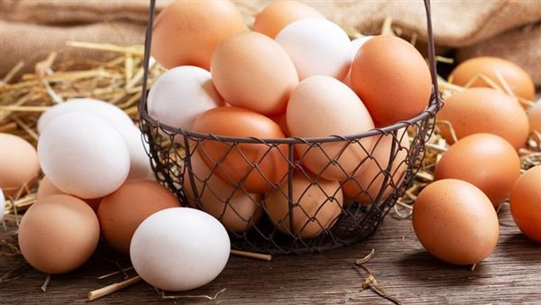هبوط أسعار البيض بمقدار 20 جنيهاً للأنواع البلدية والأرضية وبطاريات