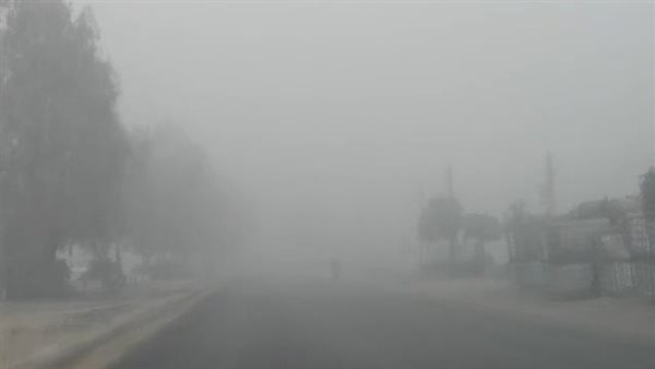 الأرصاد الجوية تحذر من الشبورة المائية وتكشف عن حالة الطقس غدا