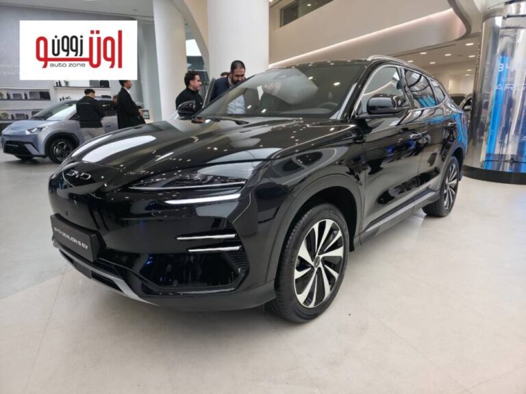 أسعار صيانة سيارة بي واي دي سي ليون 6 الكهربائية في مصر حتى 300 ألف كم