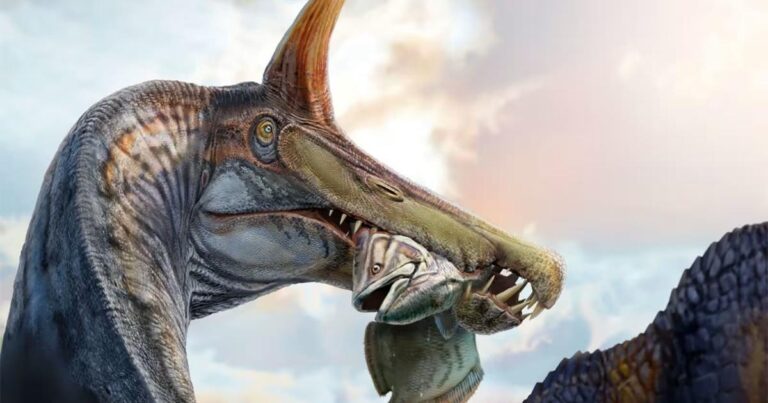 اكتشاف جمجمة ديناصور تعود لـ92 مليون سنة في حدث تاريخي مذهل