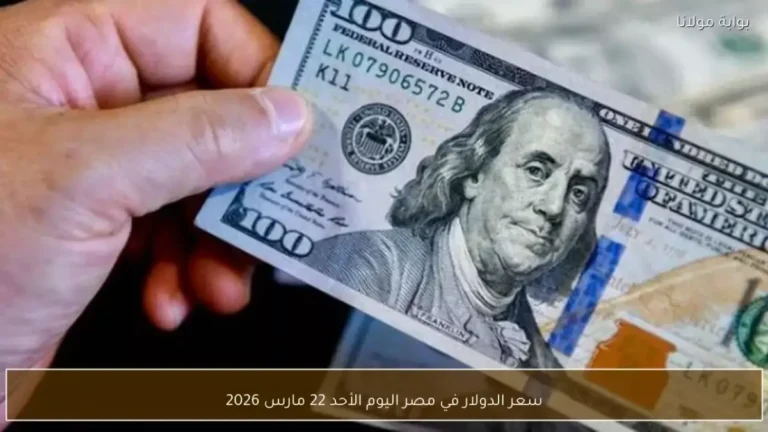 سعر الدولار اليوم 22 مارس يحدث ضجة بين المصريين مما يدفعهم للتساؤل هل يشترون أم يبيعون