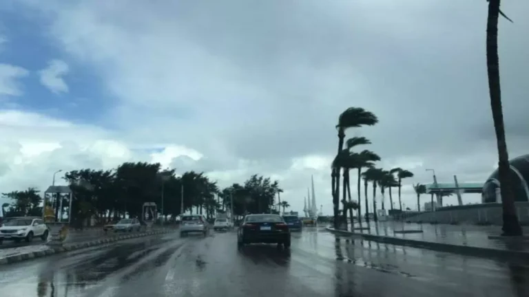 تحذير من خبير الطقس: عاصفة مطرية تاريخية تضرب السعودية لمدة 6 أيام وتشكل خطرًا على جدة