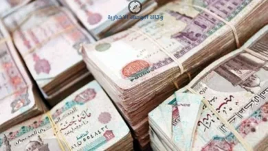 آخر أخبار المعاشات الآن