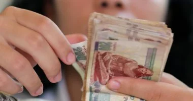 البورصة تحقق عوائد نقدية ضخمة تصل إلى 82.5 مليار جنيه لتوزيعات الأرباح على المستثمرين تنعش السوق والاقتصاد الوطني