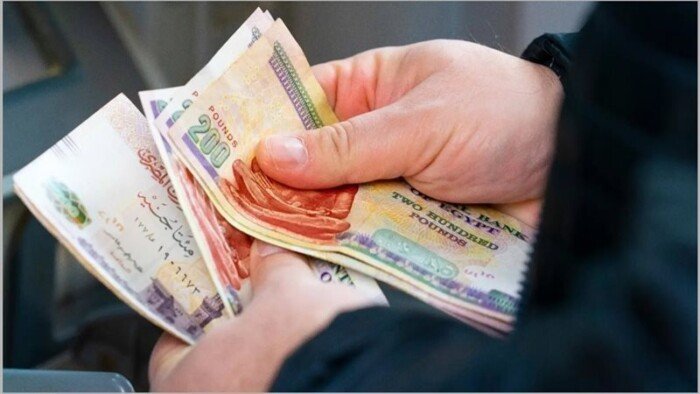 بدء تطبيق نظام الدعم النقدي الجديد في يناير 2027 وتفاصيل الفئات المستفيدة من هذا البرنامج المبتكر