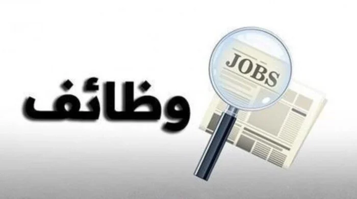 فرصة عمل جديدة برواتب تصل إلى عشرين ألف جنيه مع شروط هامة وطريقة تقديم سهلة في وظائف وزارة العمل